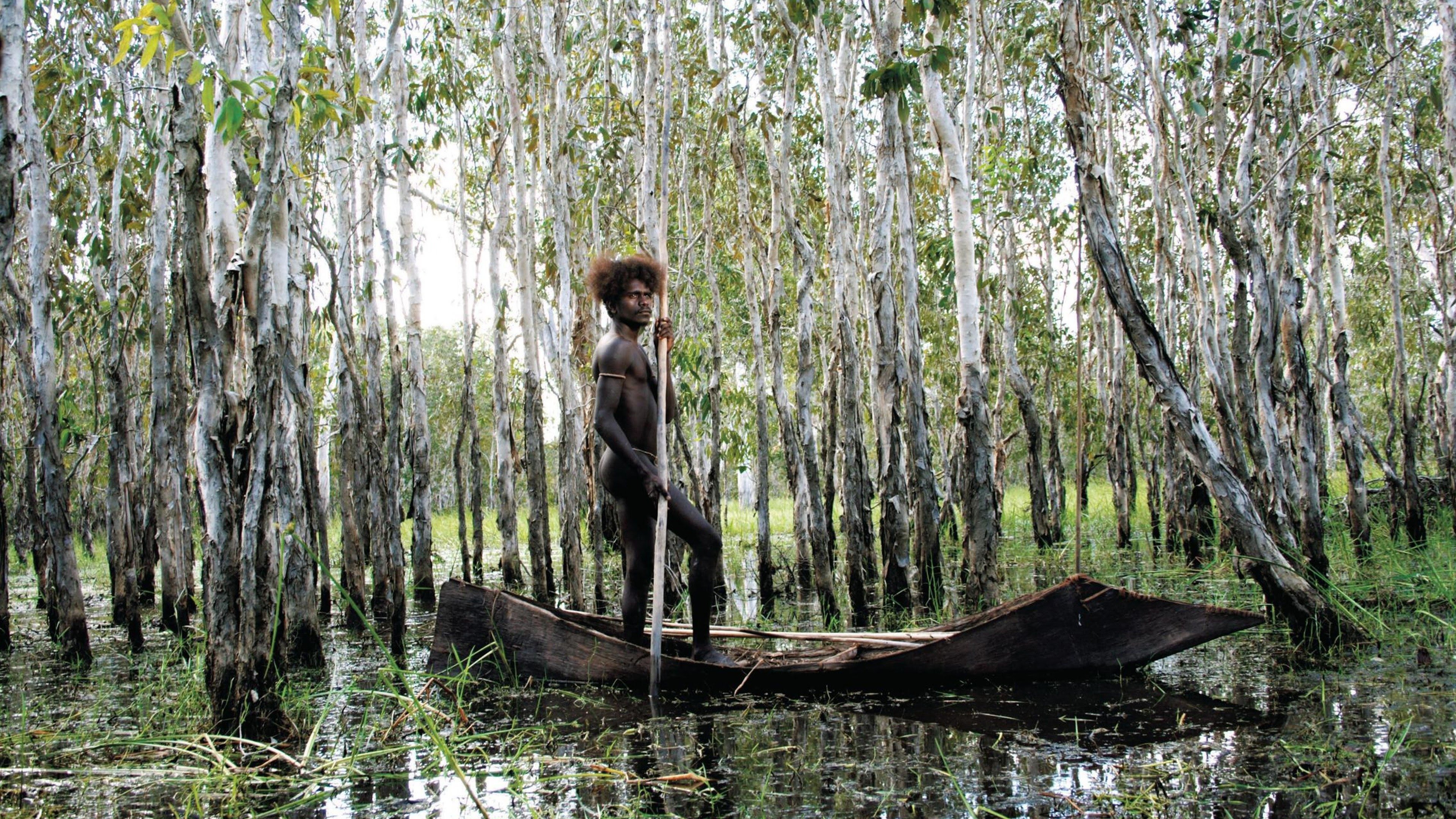 Backdrop for Ten Canoes