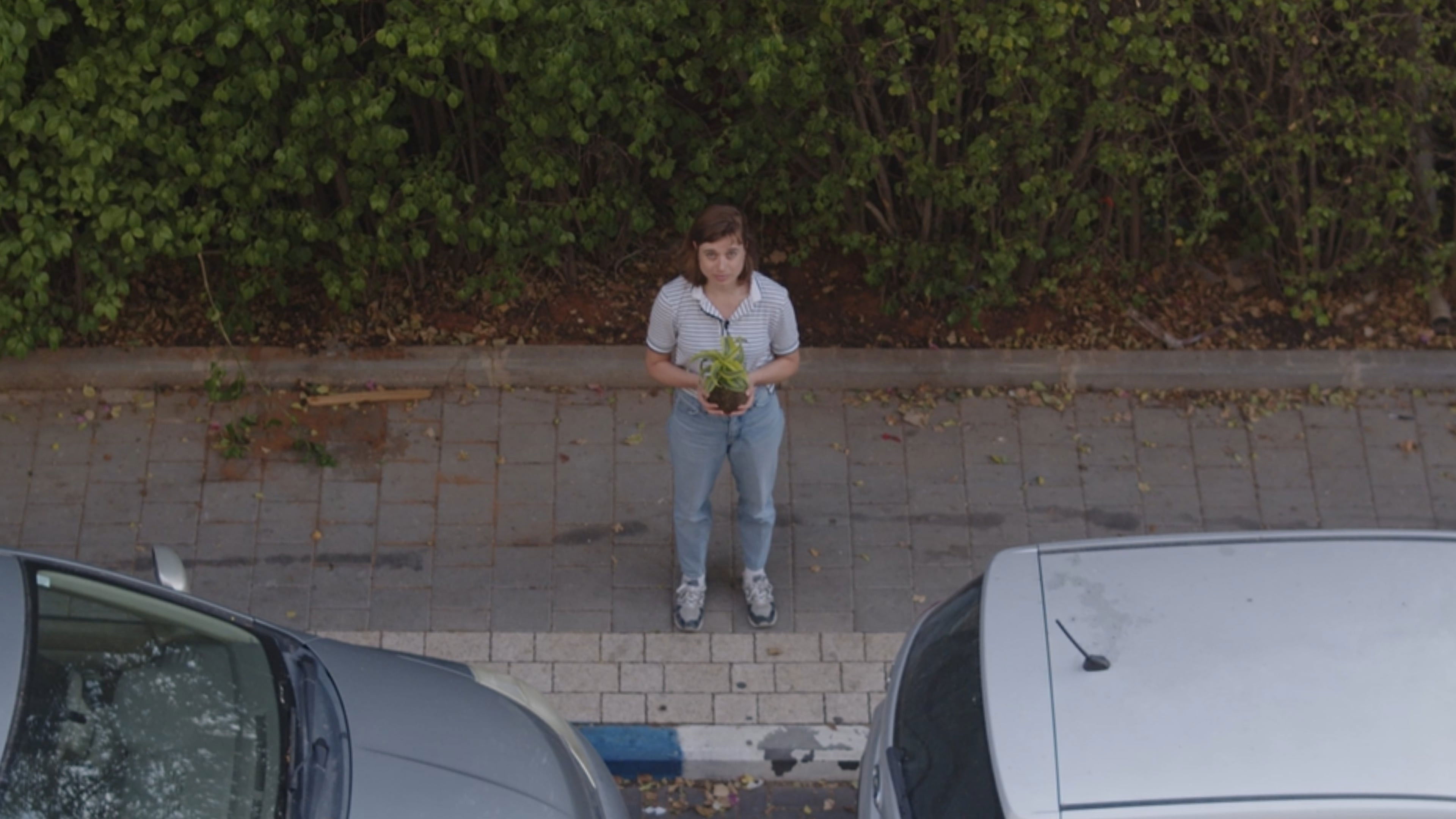 Backdrop for Demursyncronosis