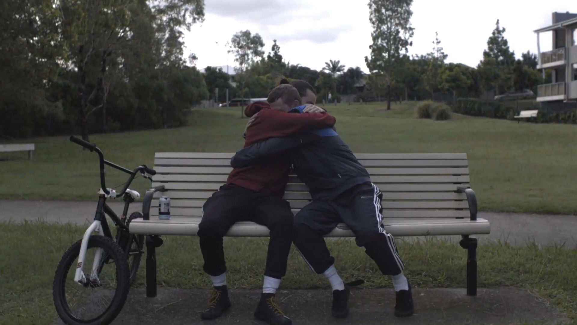 Backdrop for Two Birds in a Cage