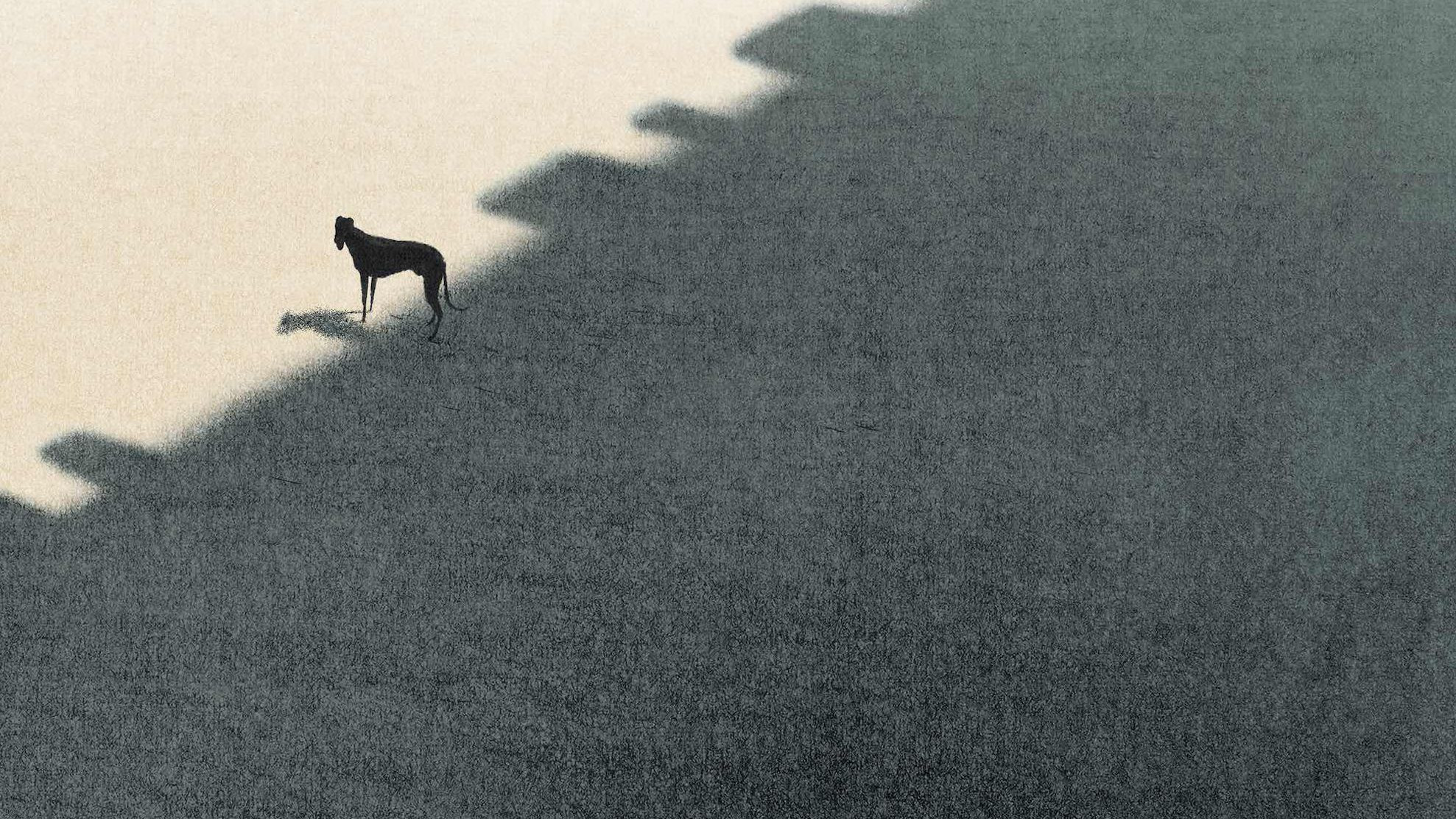 Backdrop for Peripheria