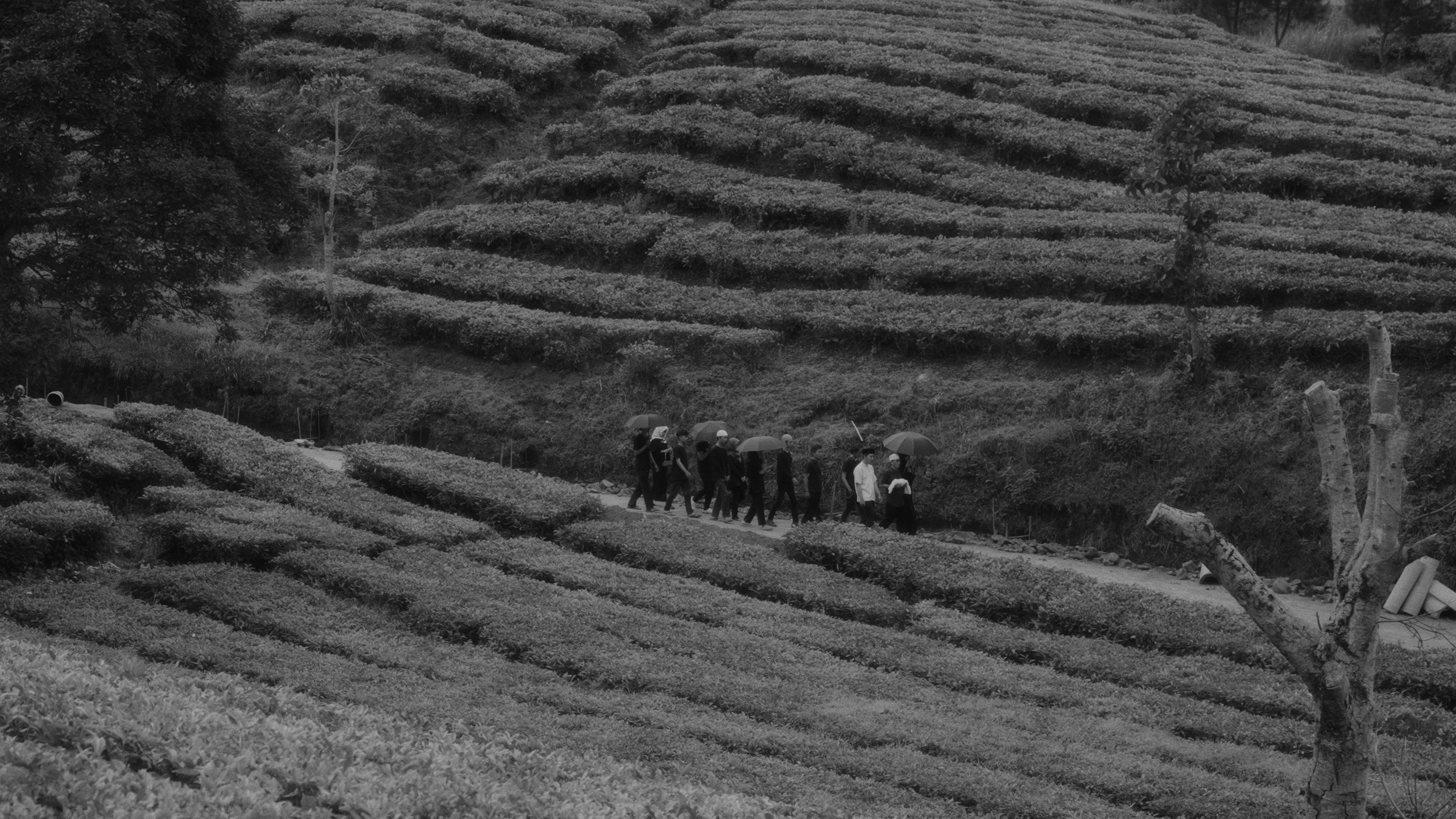 Backdrop for Last Voice for Lost Light