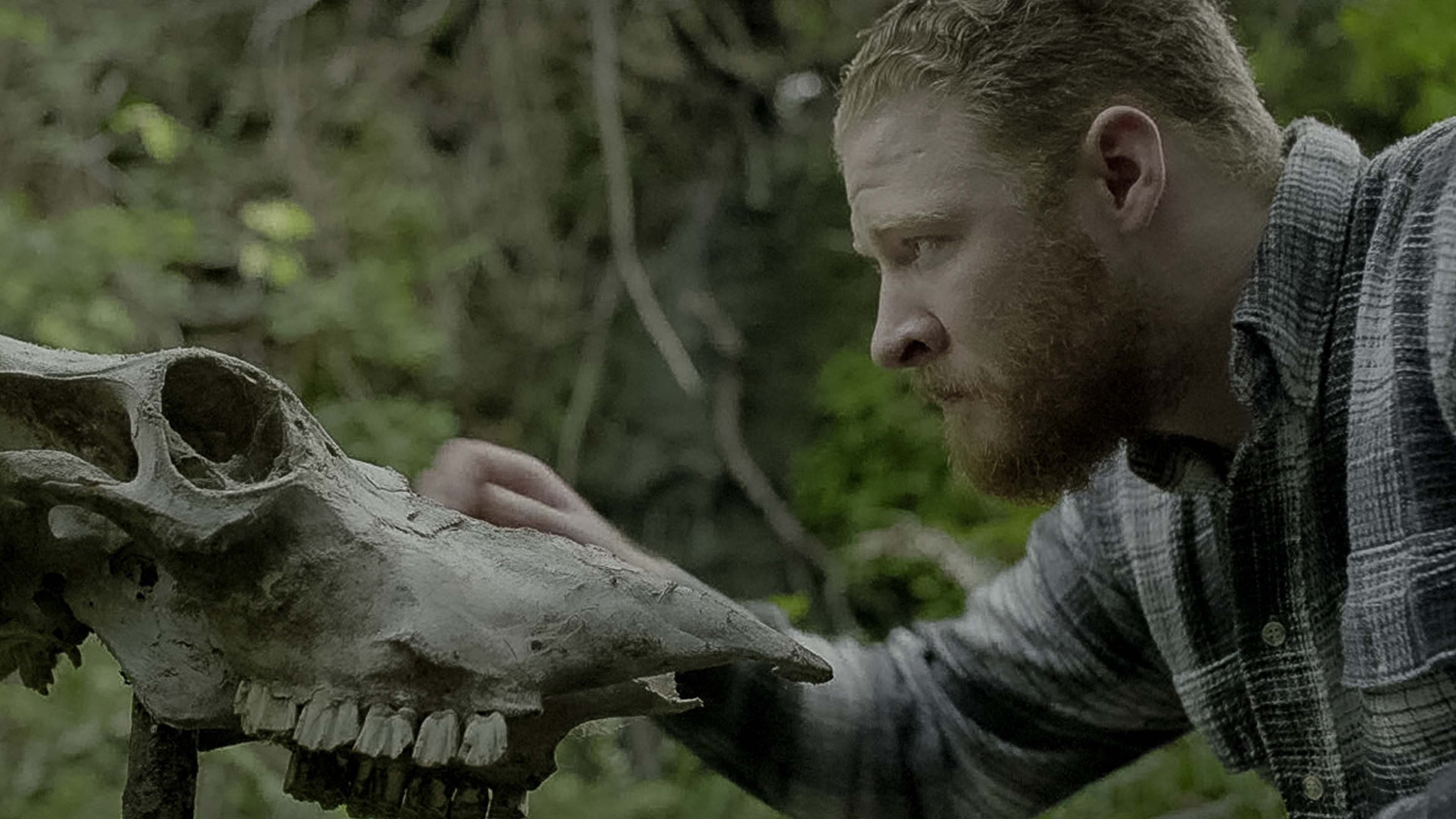 Backdrop for Red Handed