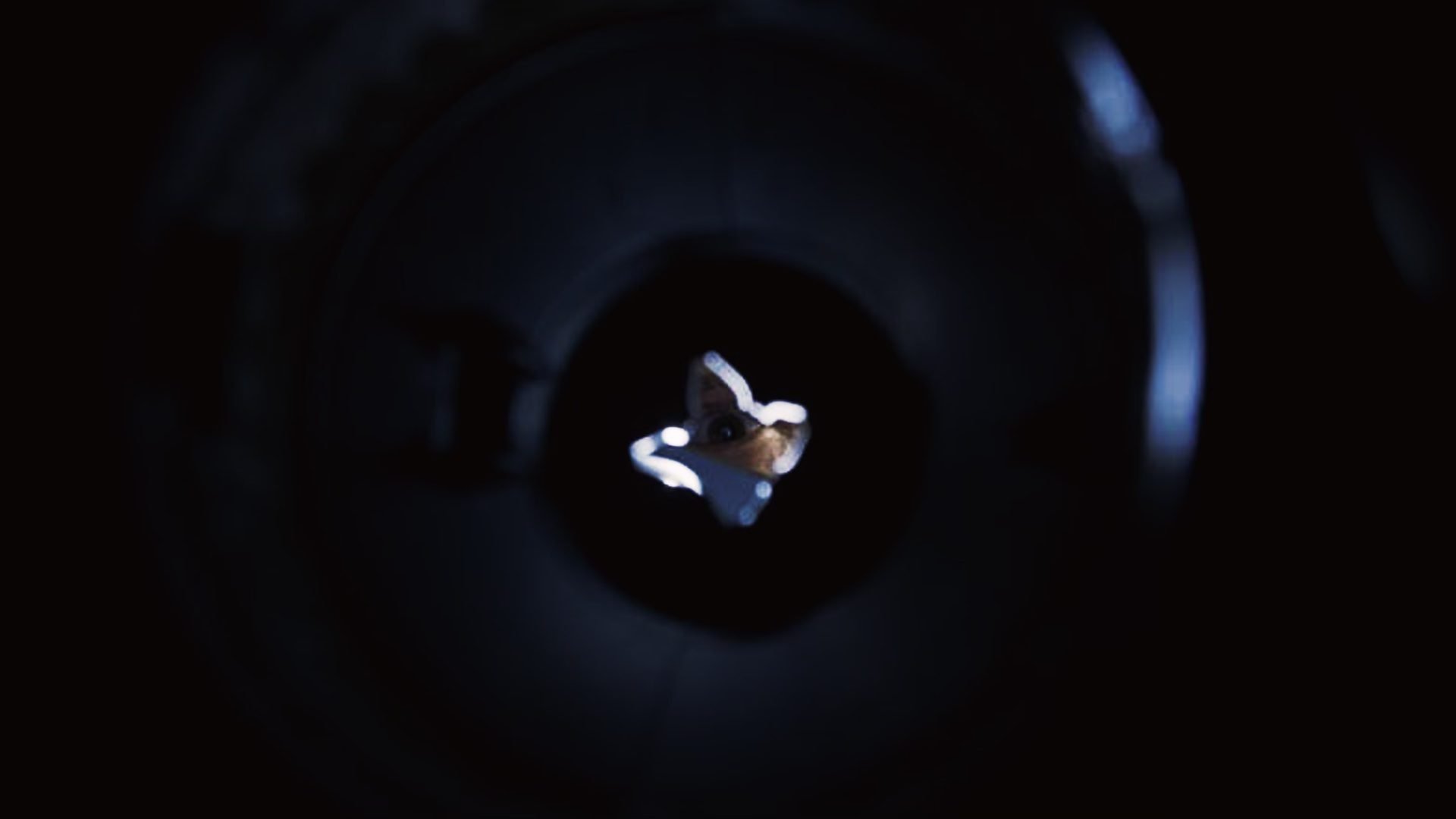 Backdrop for Disposal