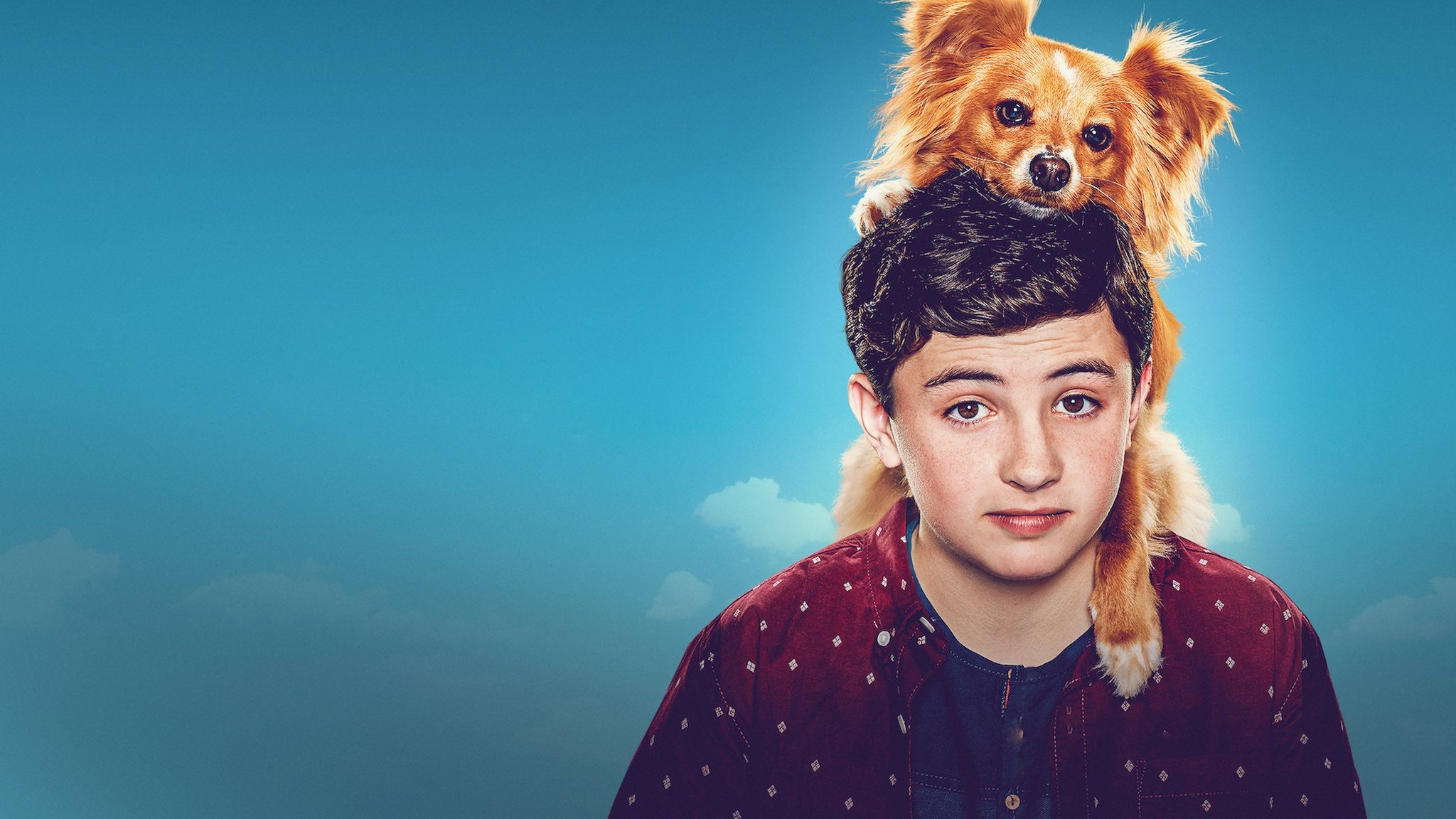 Backdrop for The Healing Powers of Dude