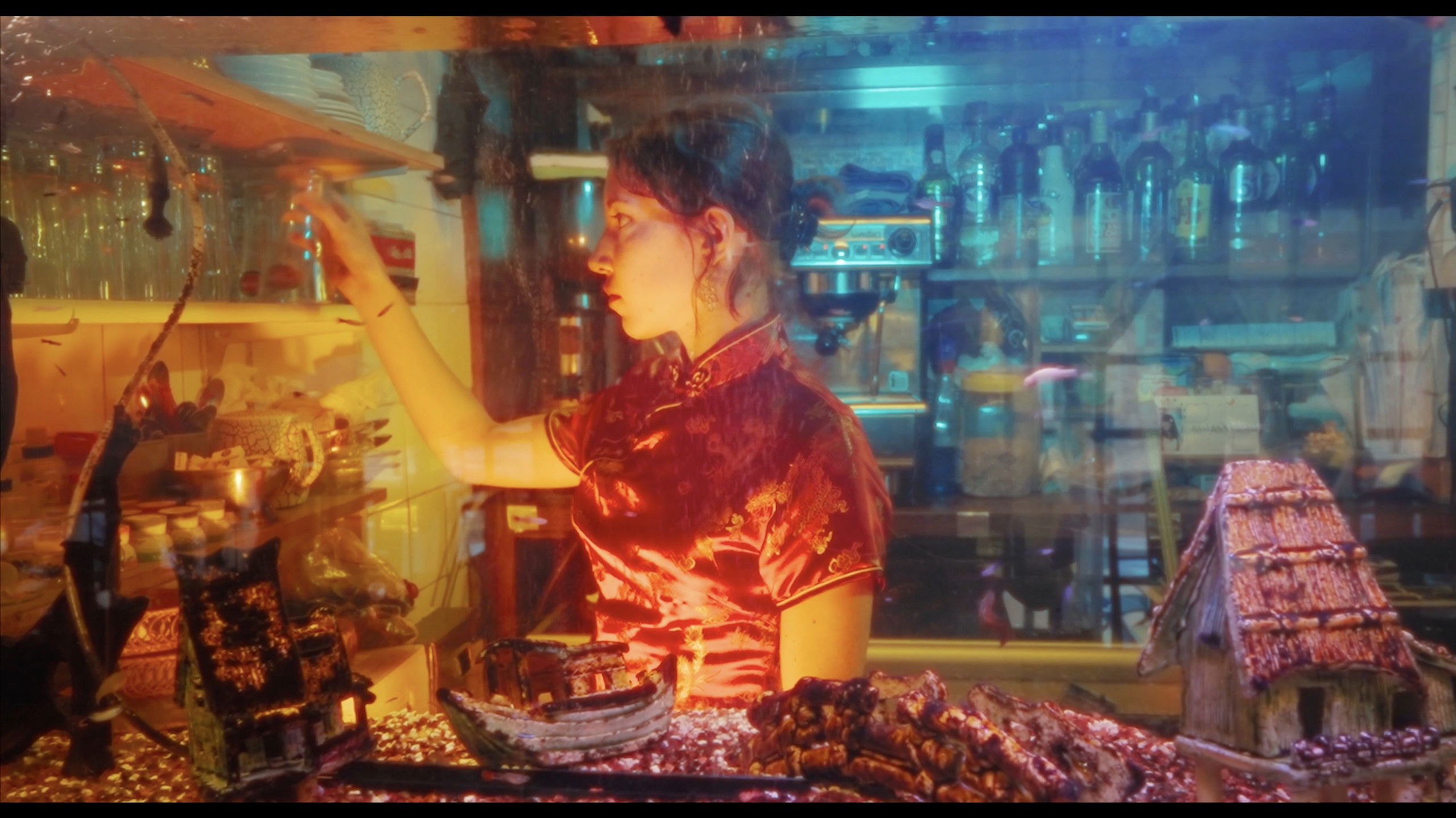 Backdrop for Des Carpes et des Éléphants