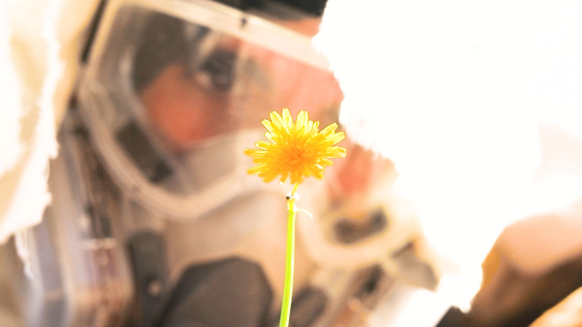 Backdrop for Bajo el Sol