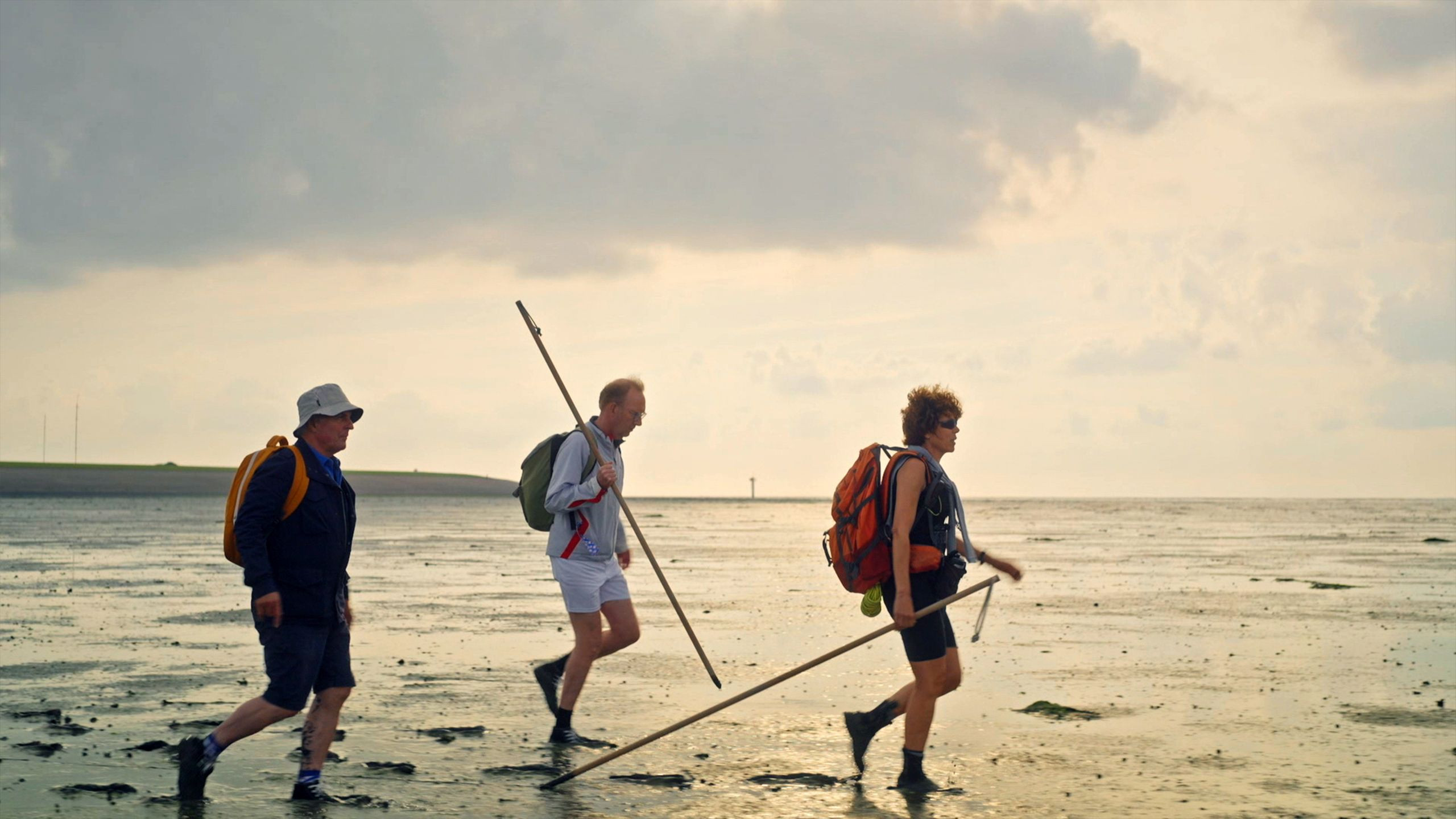 Backdrop for Langs de Kust