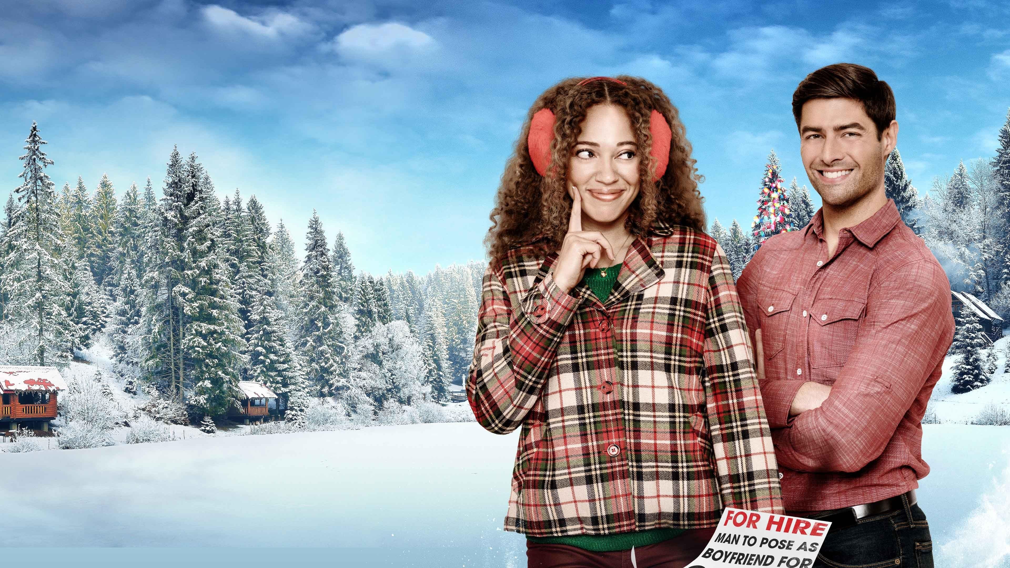 Backdrop for Holiday for Hire