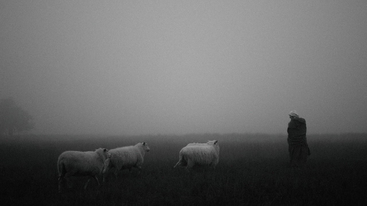 Backdrop for Barlebas