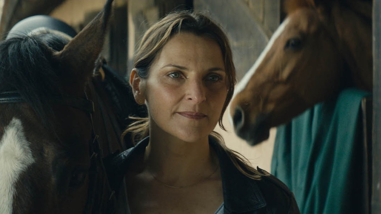 Backdrop for Los perros