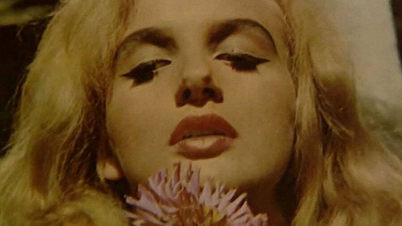 Backdrop for Didn't Do It For Love