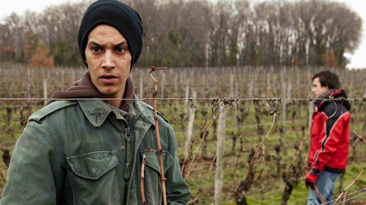 Backdrop for Amsterdam