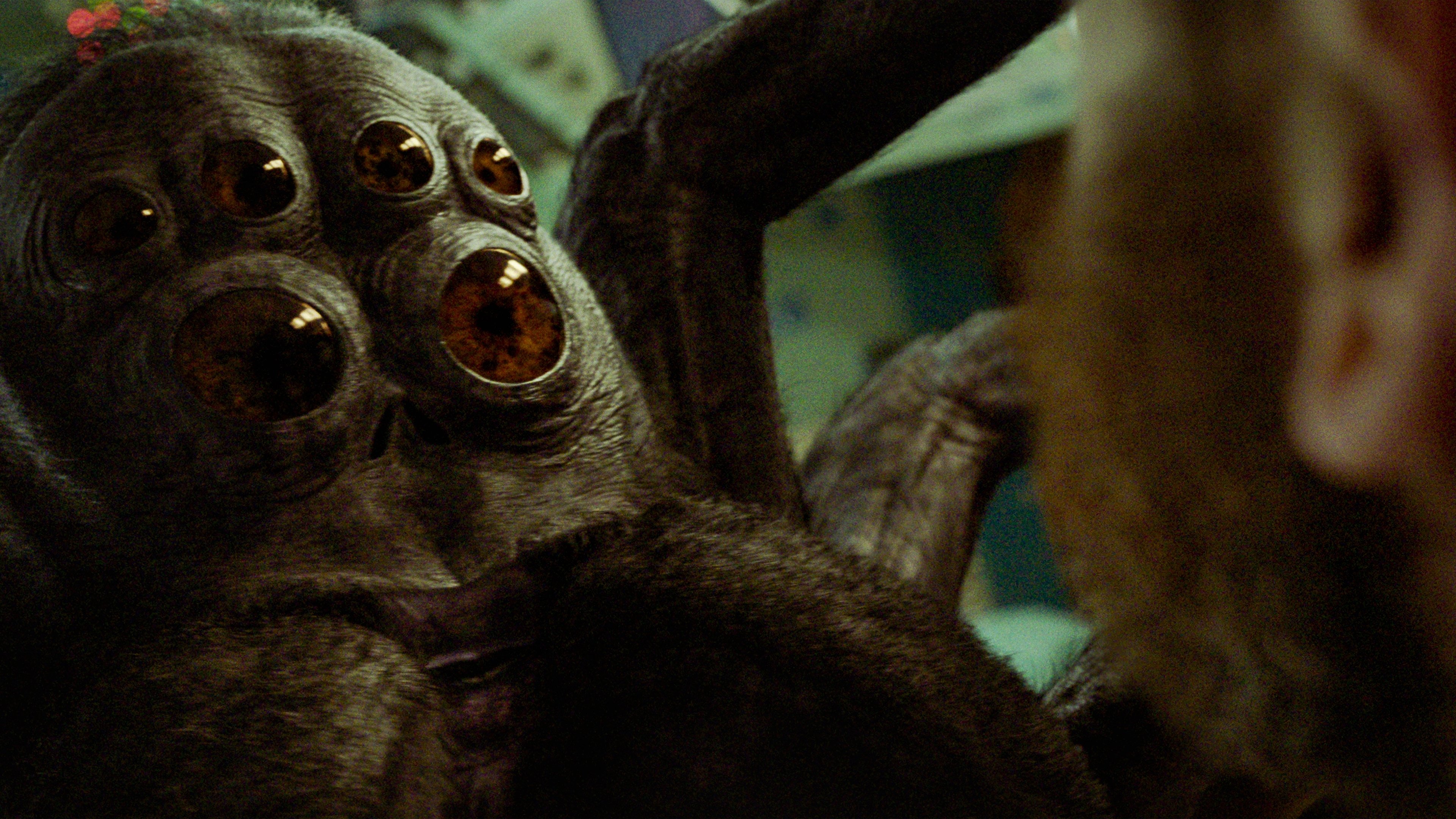 Backdrop for Spaceman