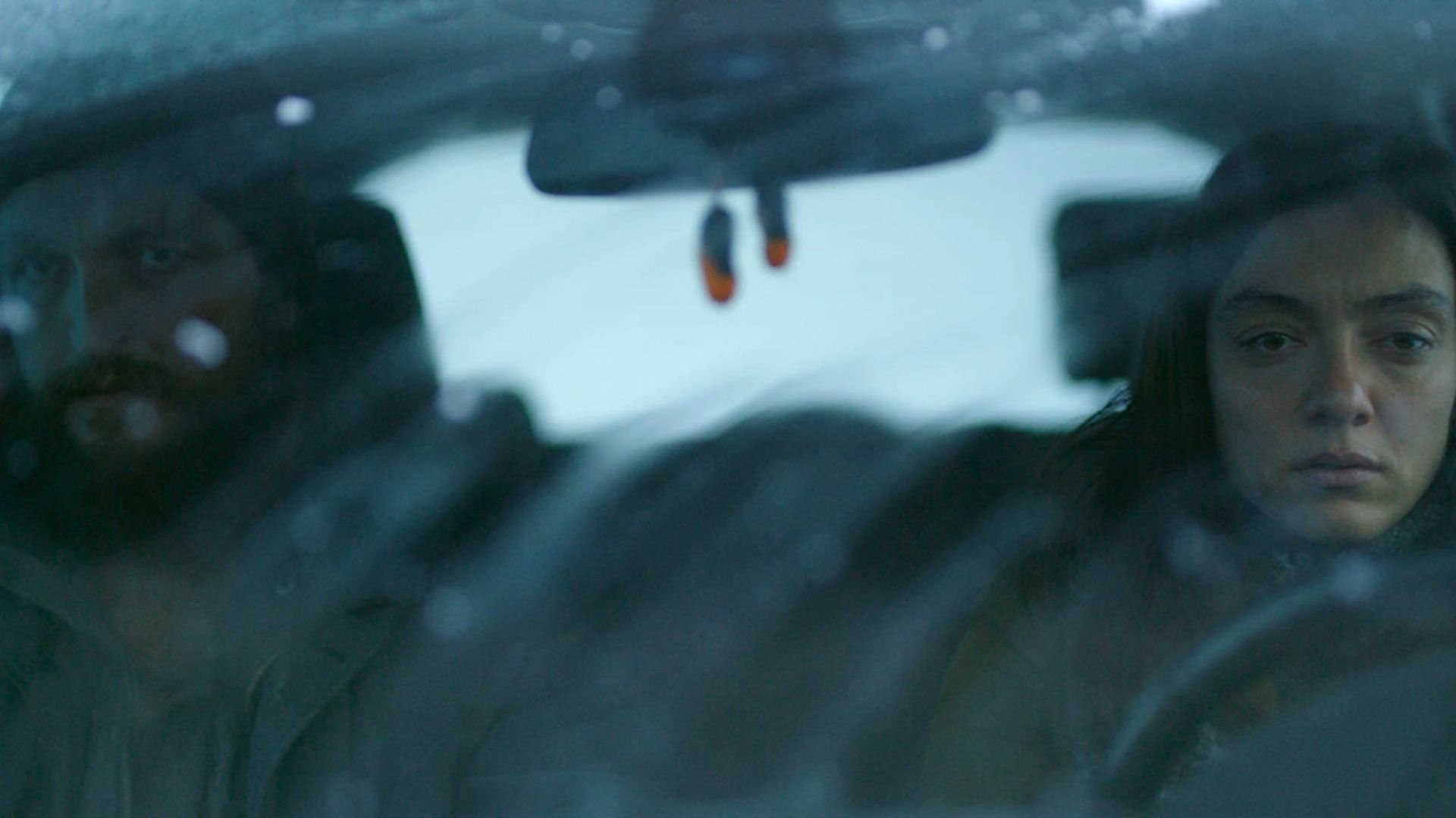 Backdrop for Snow and the Bear