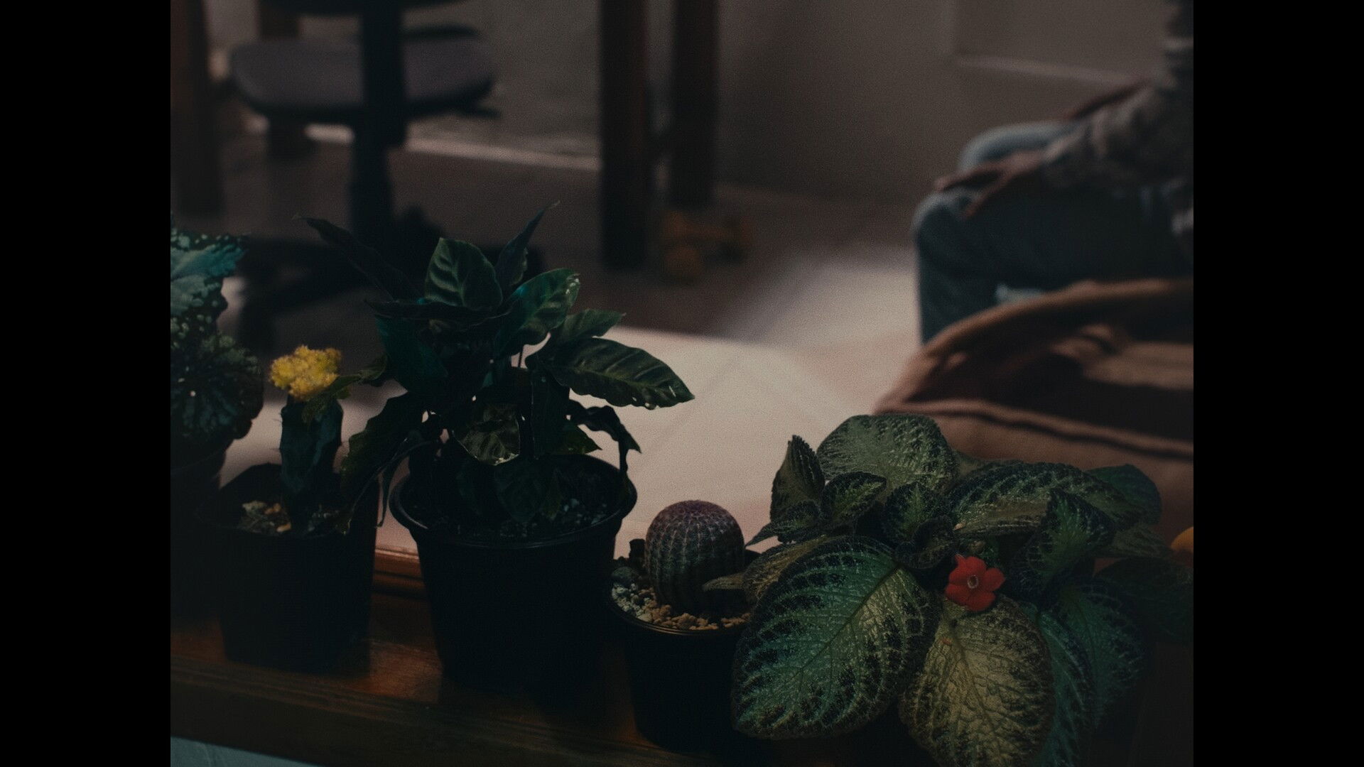 Backdrop for Superficie o Perder el Tiempo en los Espacios Más Relucientes