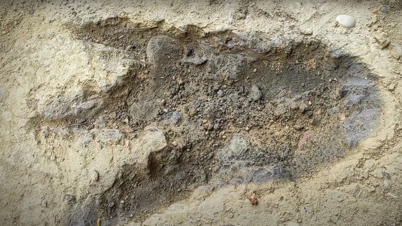 Backdrop for Quimeras