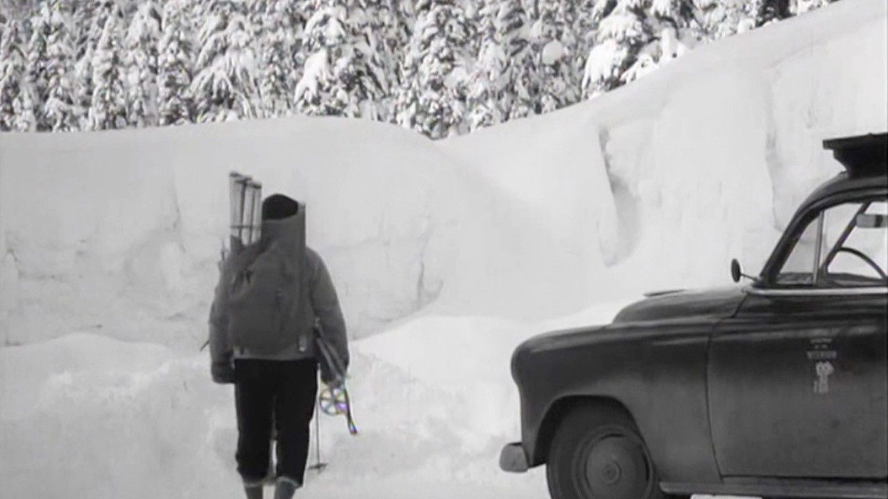 Backdrop for White Peril