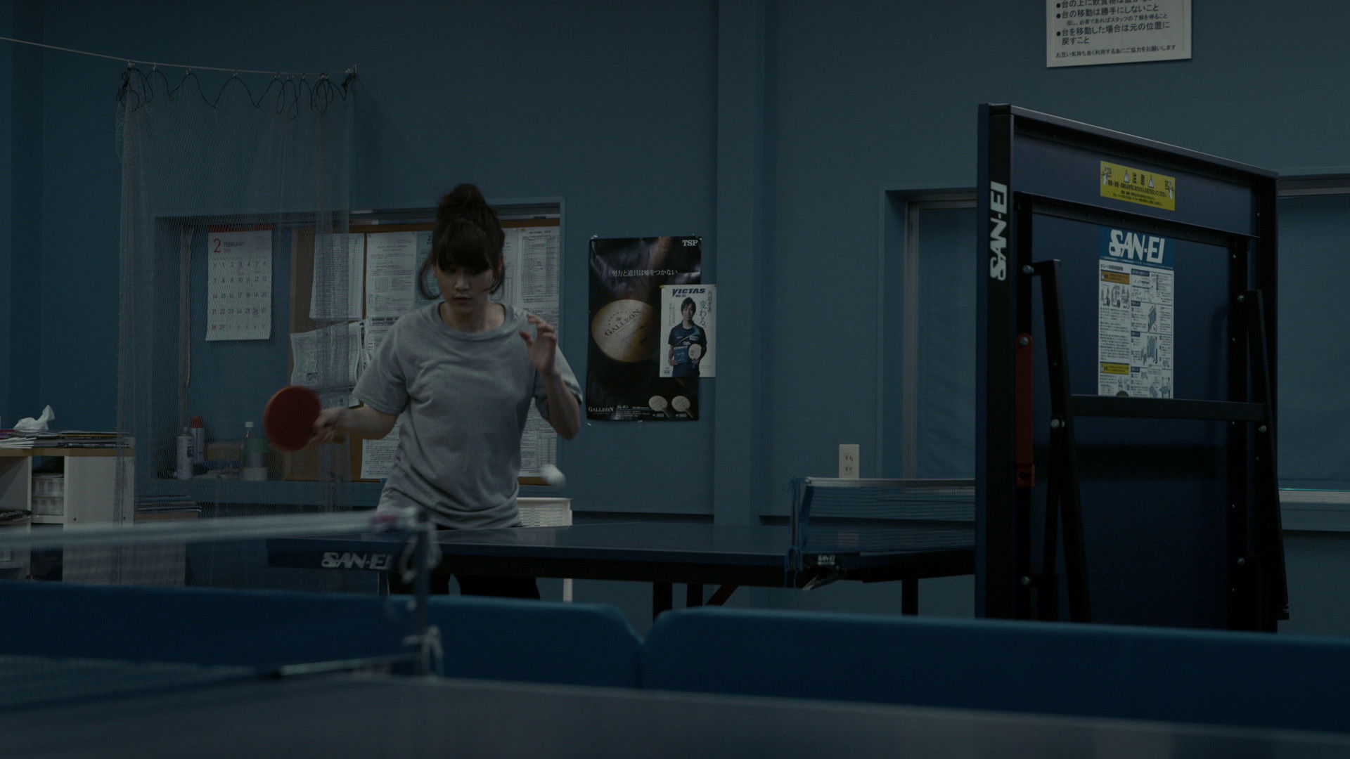 Backdrop for Ping Pang