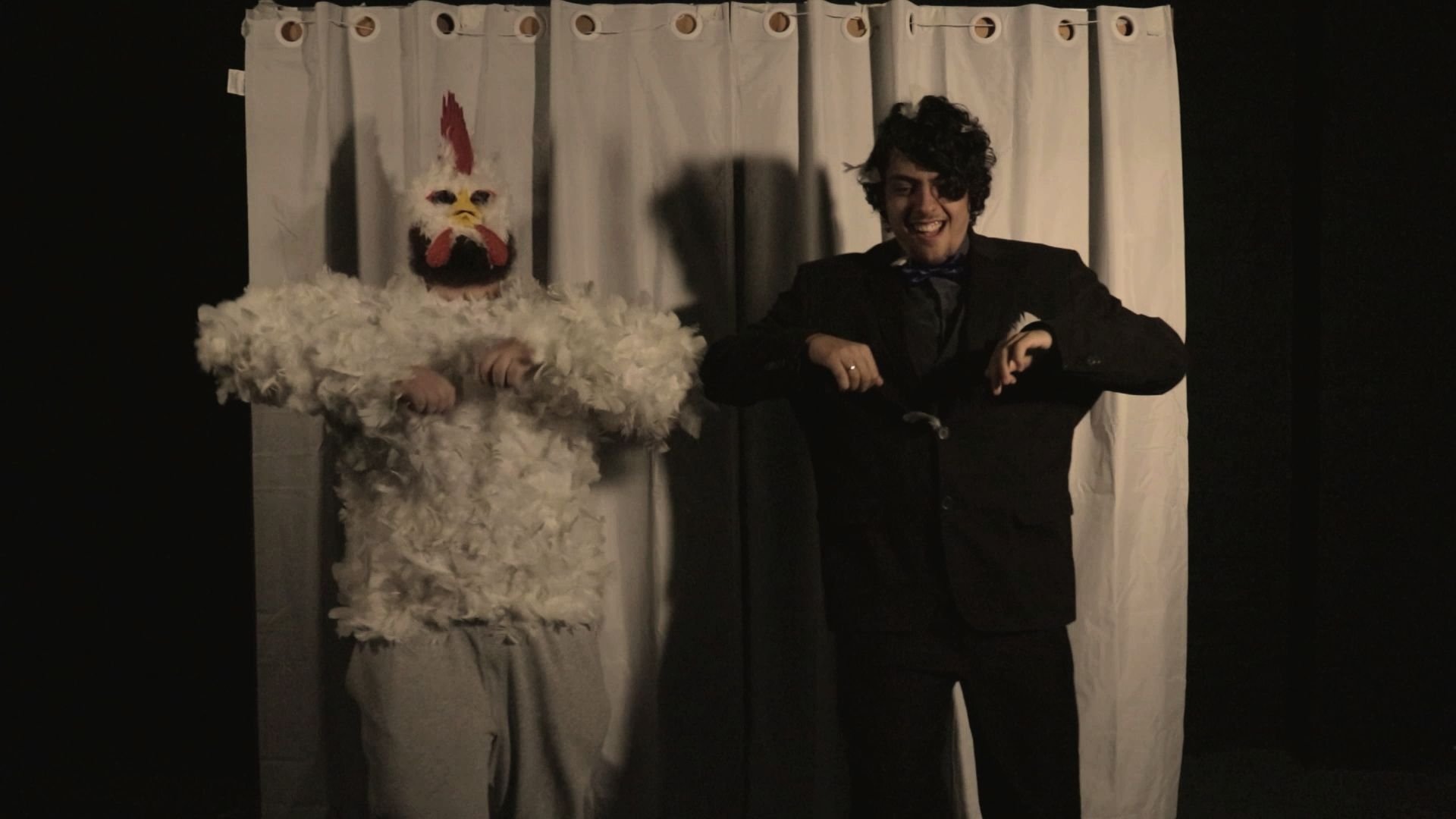 Backdrop for Rei dos Galos