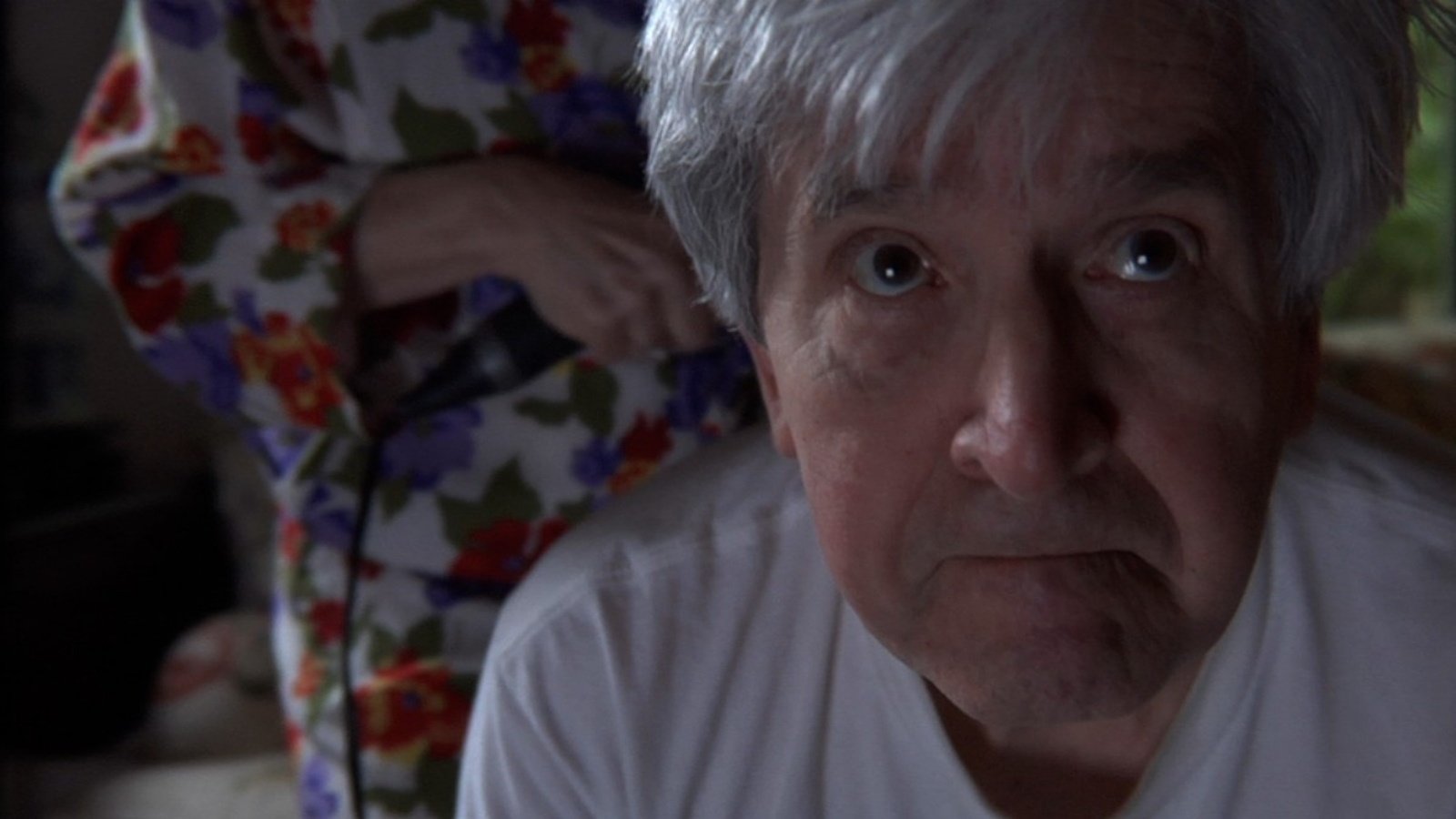 Backdrop for Old Goats