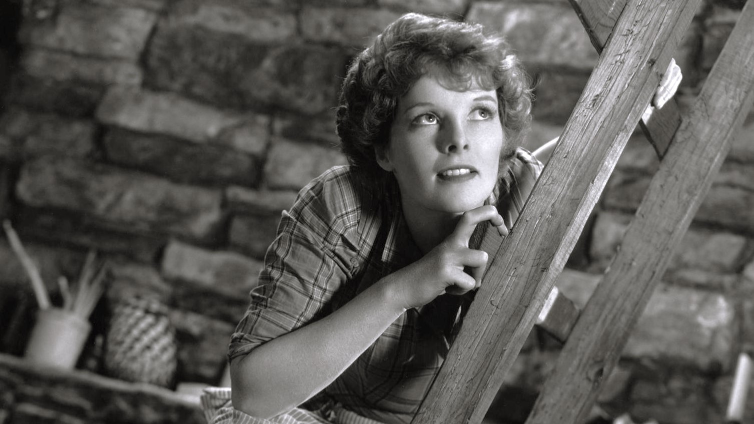 Backdrop for Spitfire