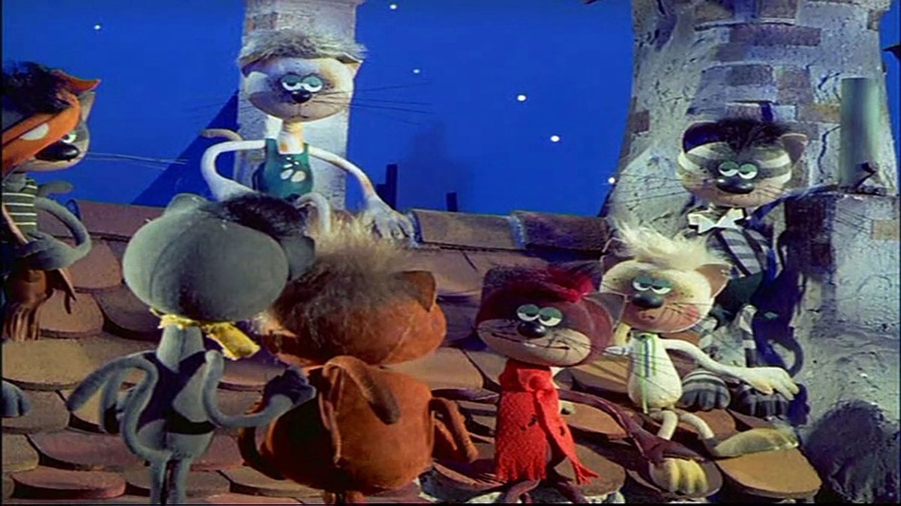 Backdrop for Mirr Murr a kandúr