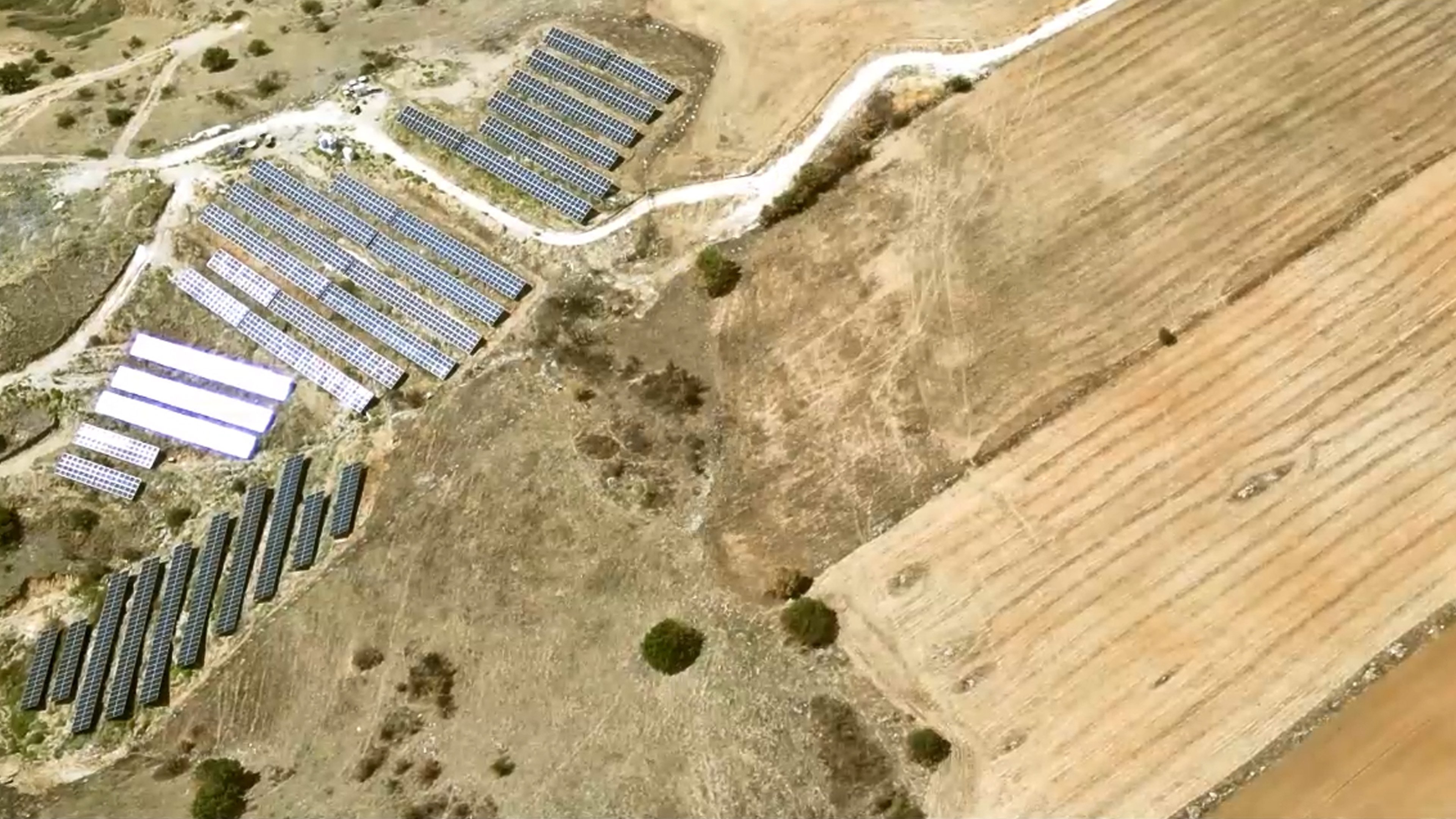 Backdrop for Metamorfosi