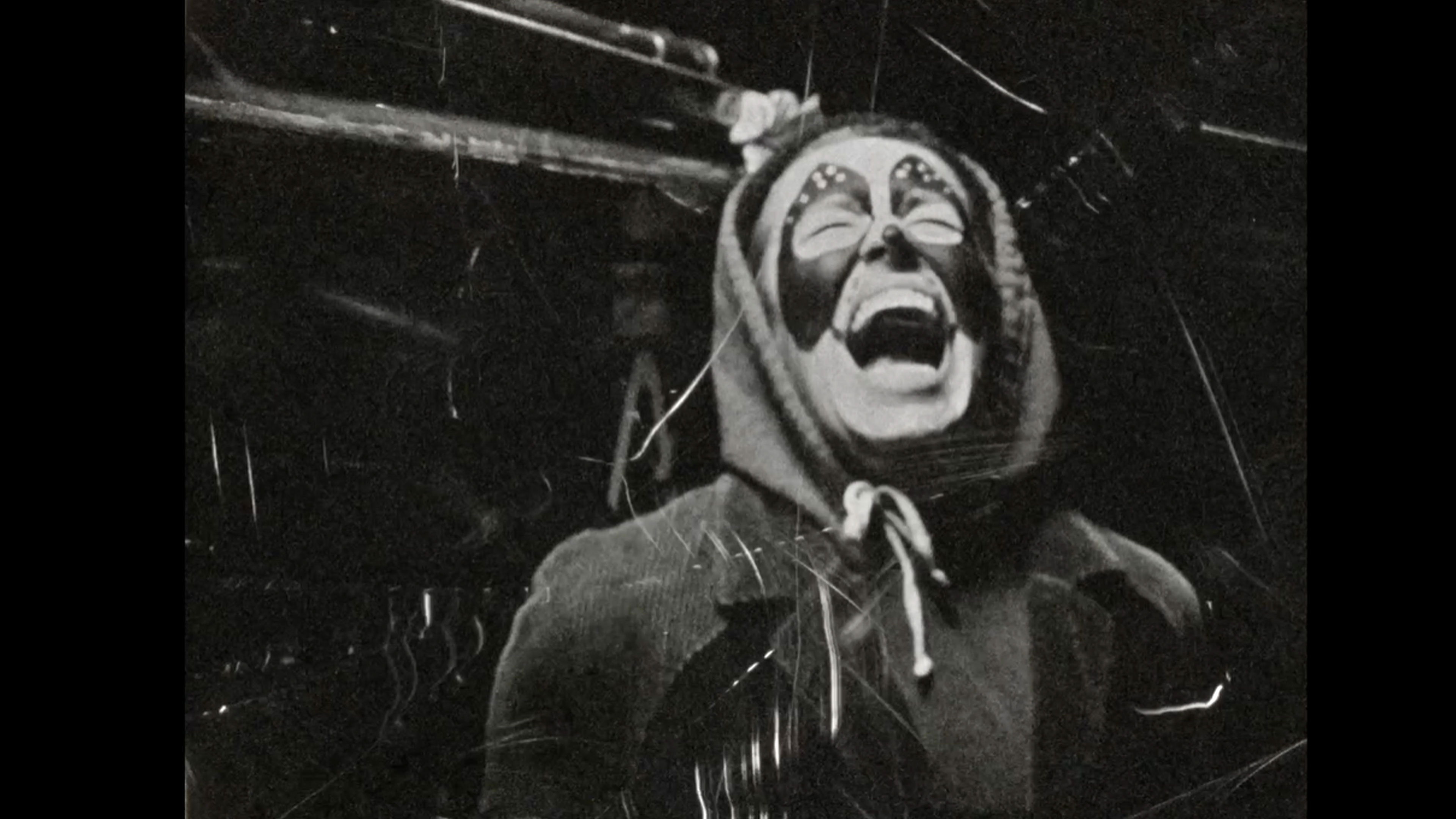 Backdrop for Dog Soup