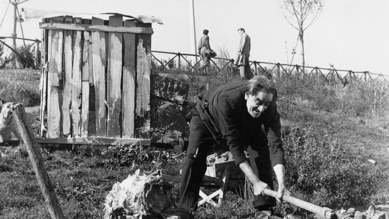 Backdrop for At the Edge of the City