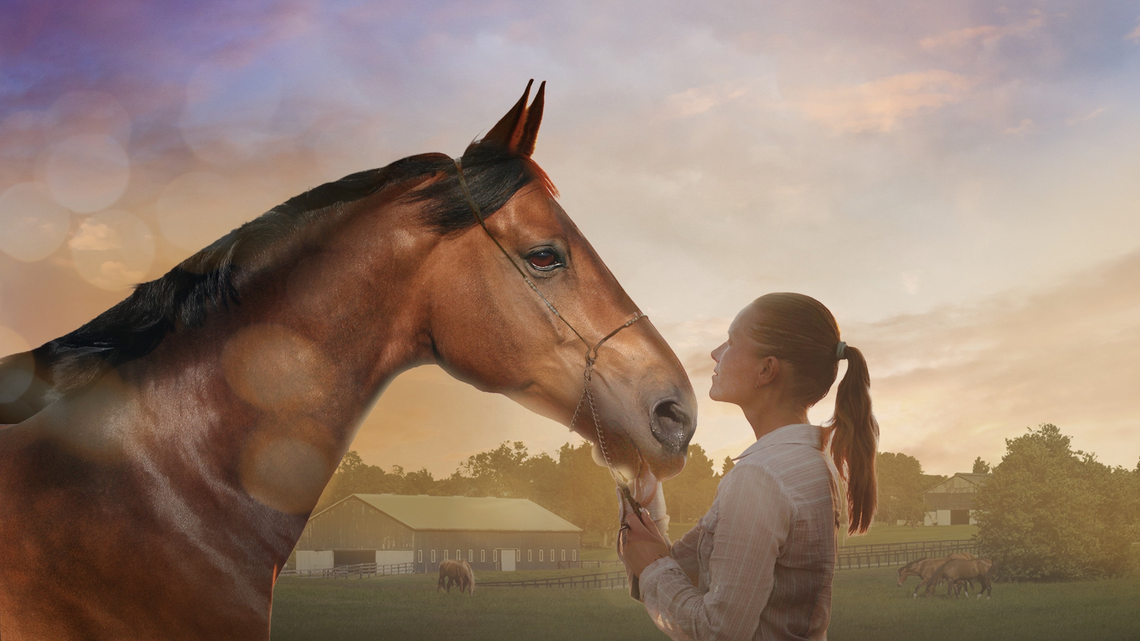 Backdrop for A Horse Tale