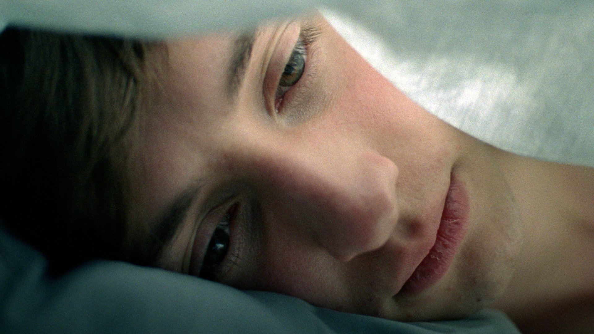 Backdrop for Sparrows