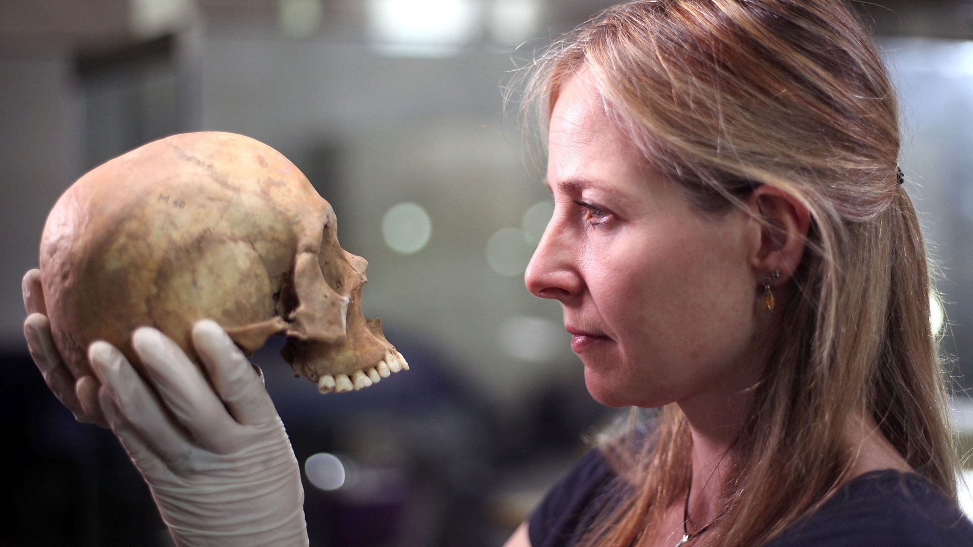 Backdrop for The Greatest Tomb on Earth: Secrets of Ancient China