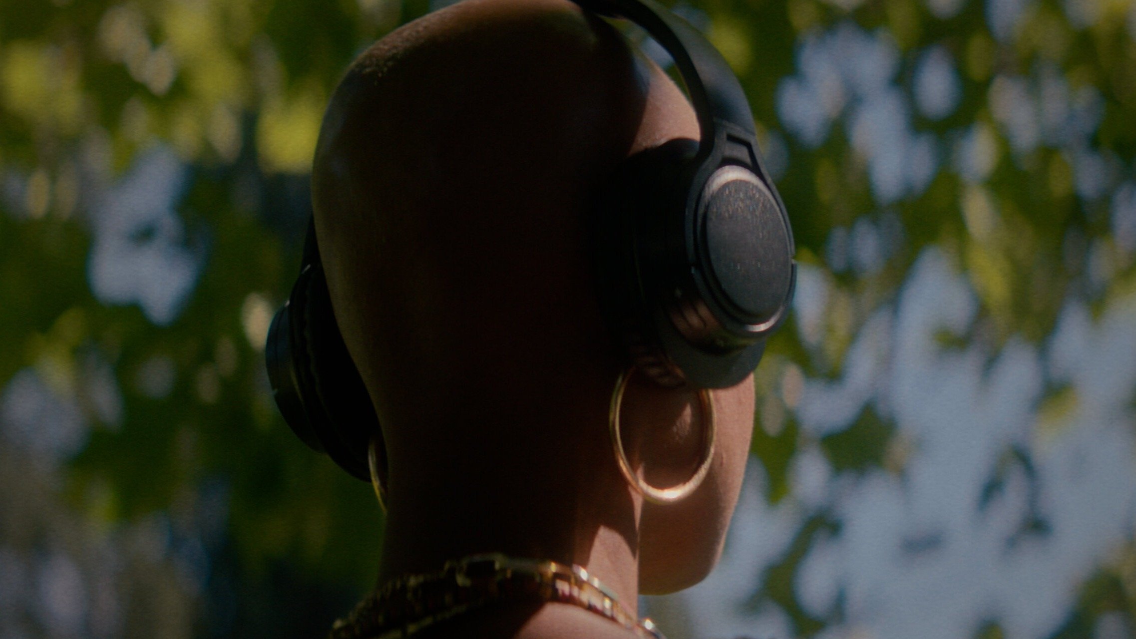 Backdrop for Hair or No Hair