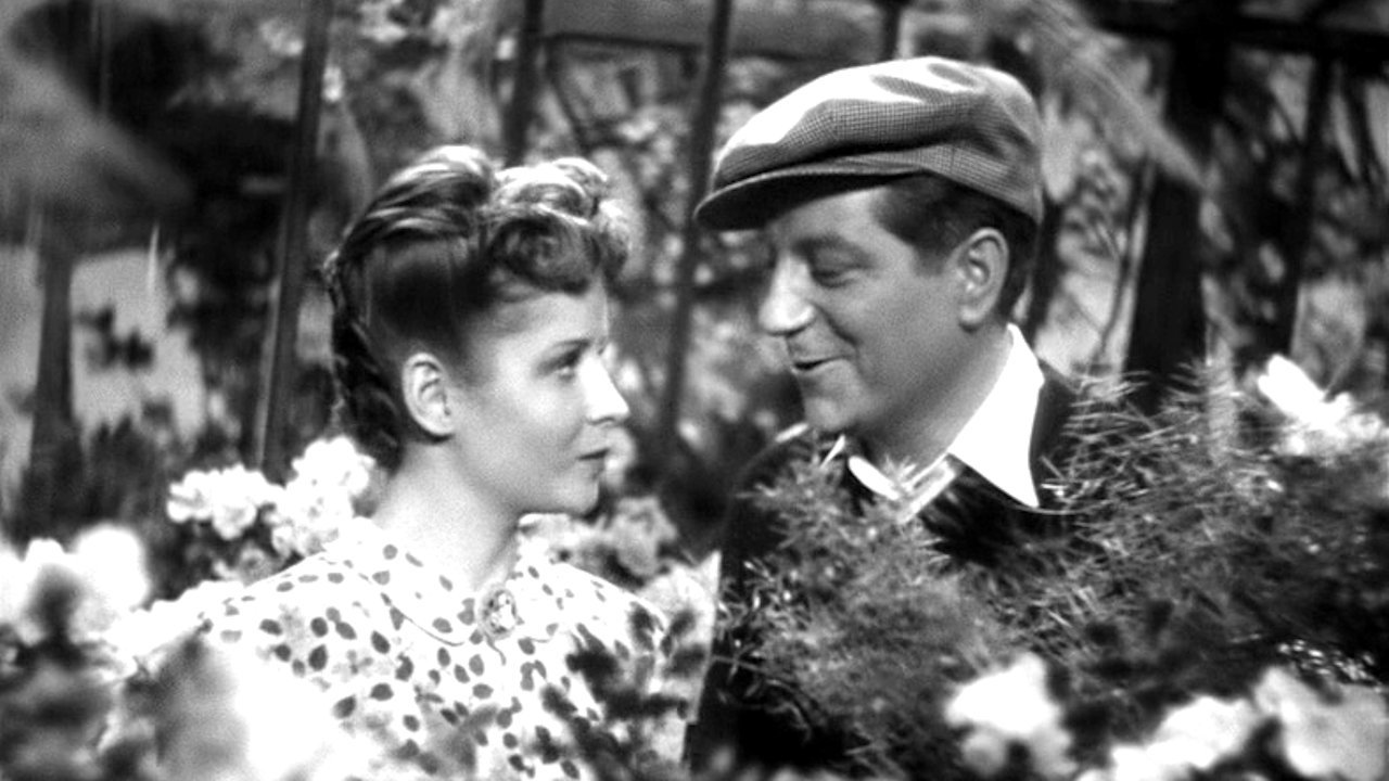 Backdrop for Daybreak