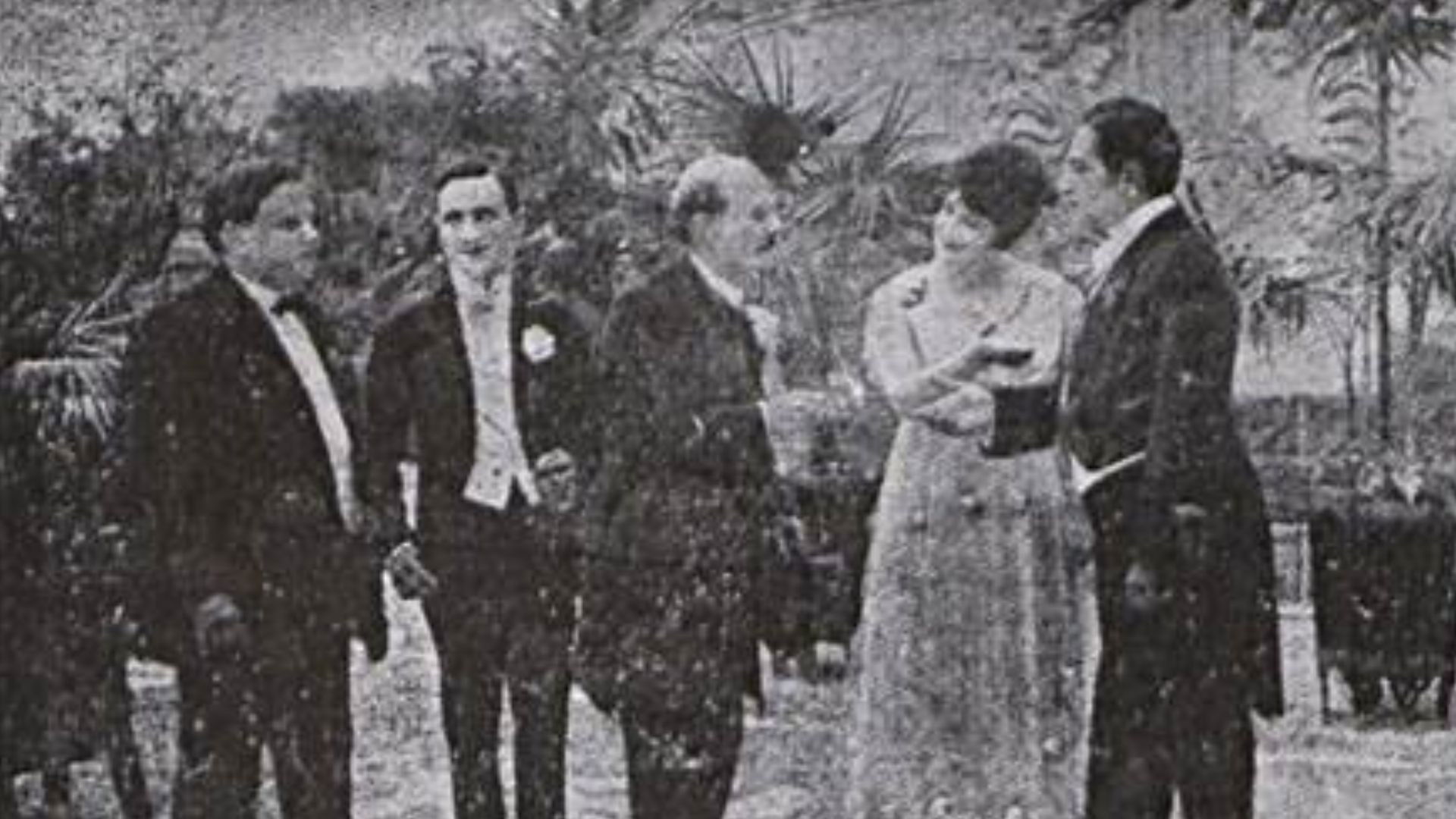 Backdrop for Vivo ou Morto