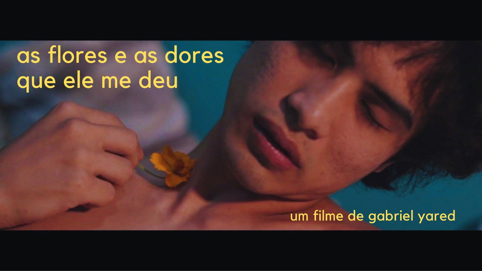 Backdrop for the flowers and sorrow he gave me