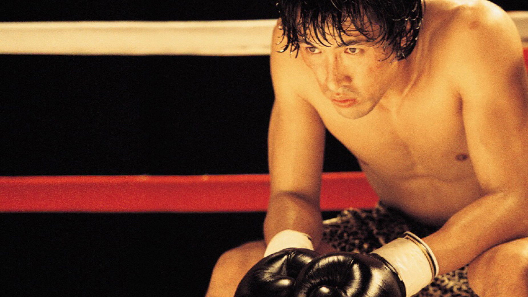 Backdrop for Champion