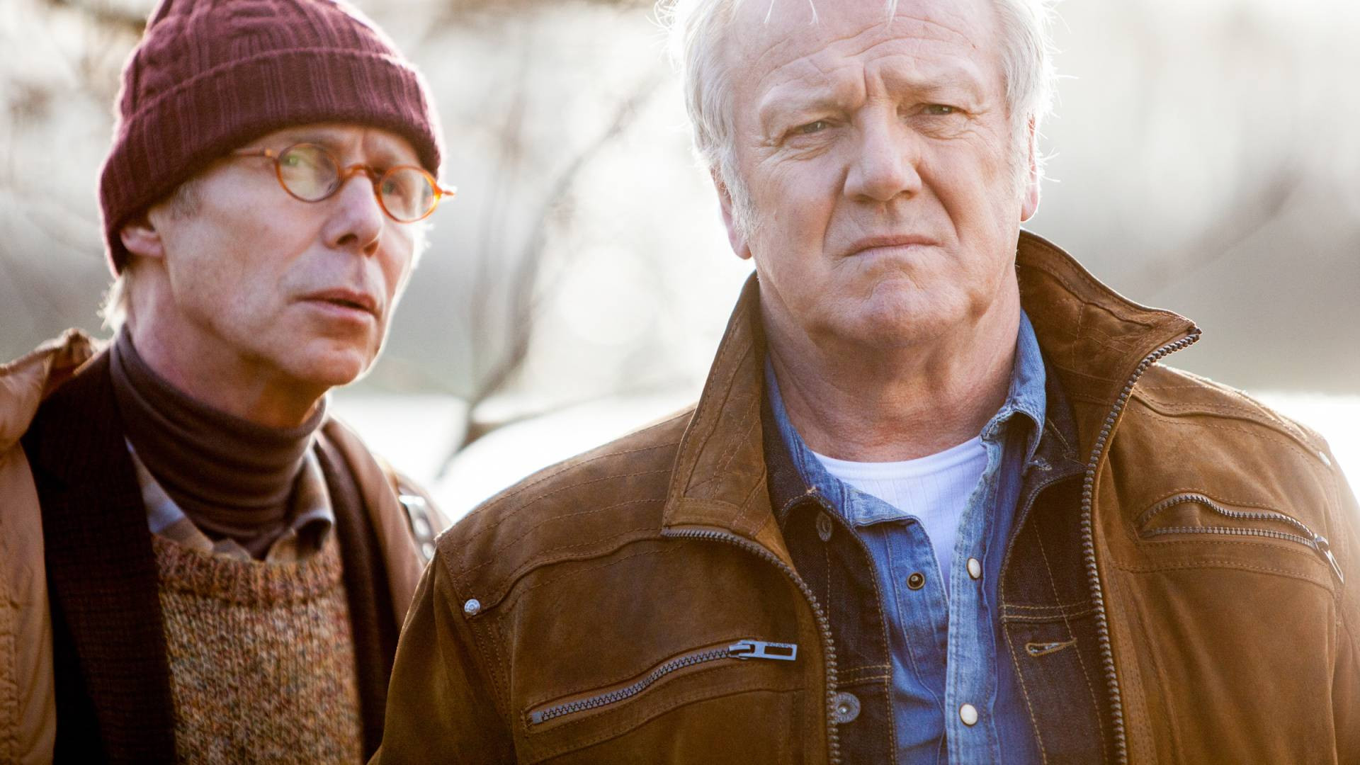 Backdrop for Vossenstreken