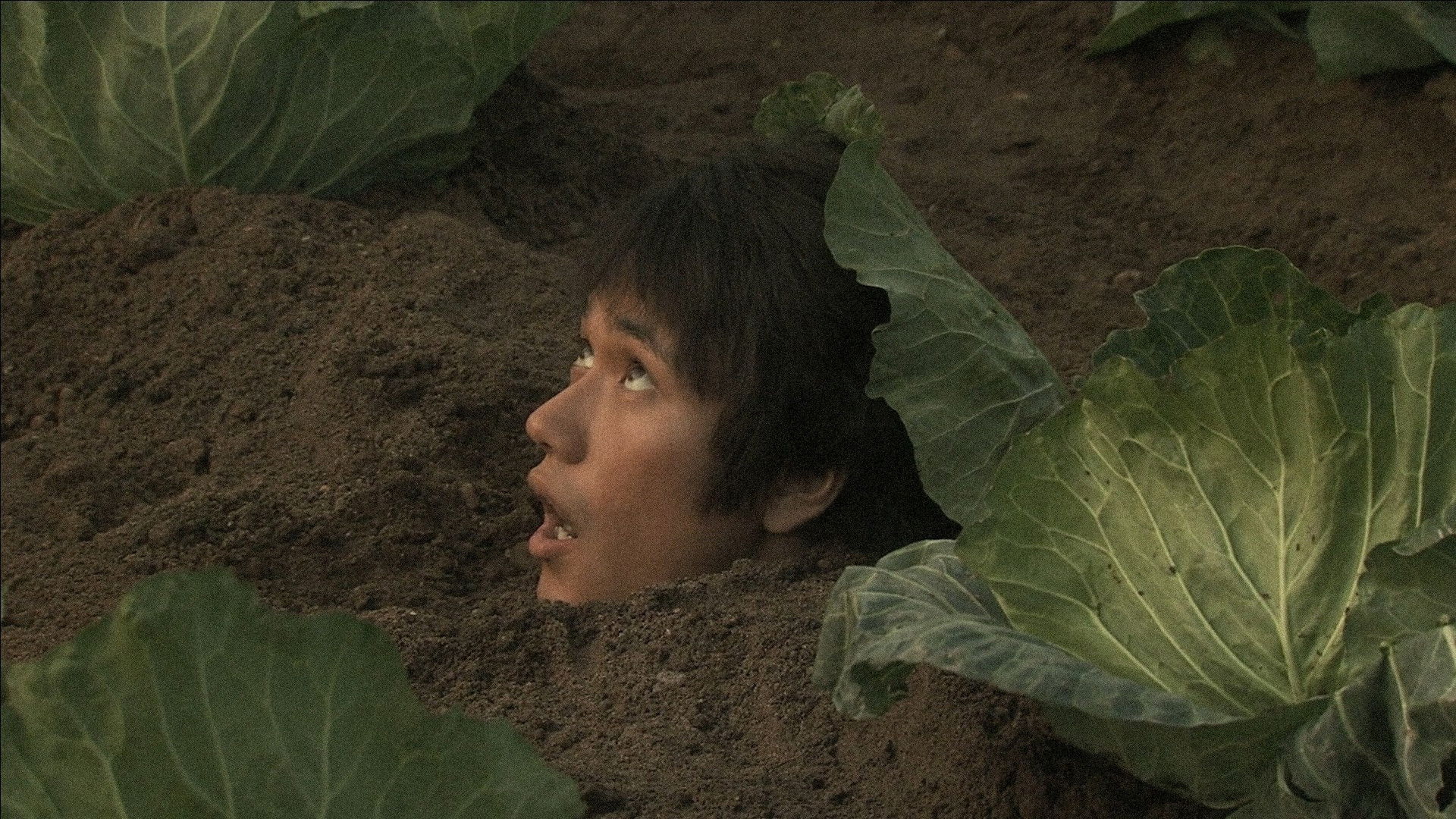 Backdrop for Bare Essence of Life