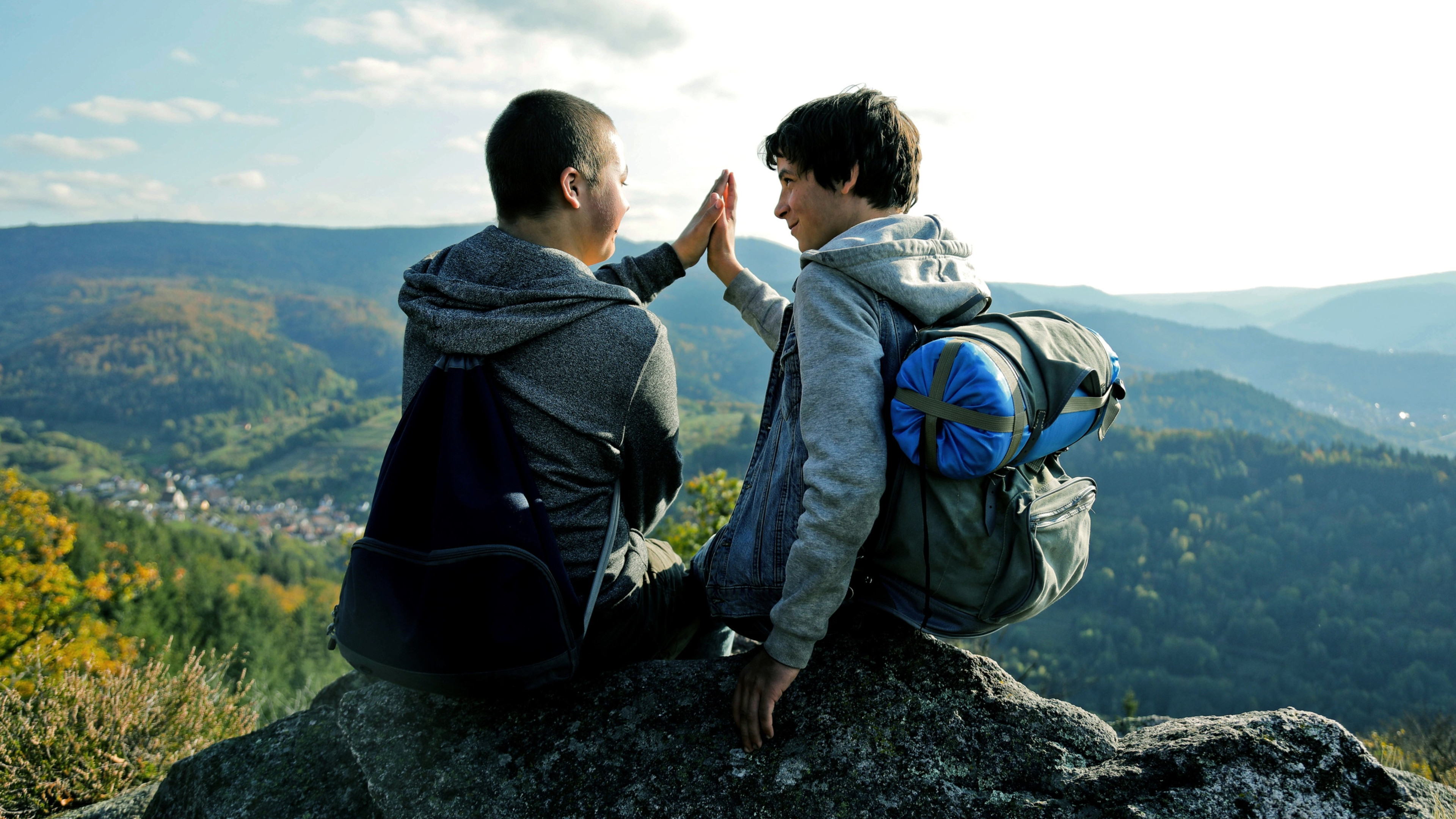 Backdrop for Night Forest