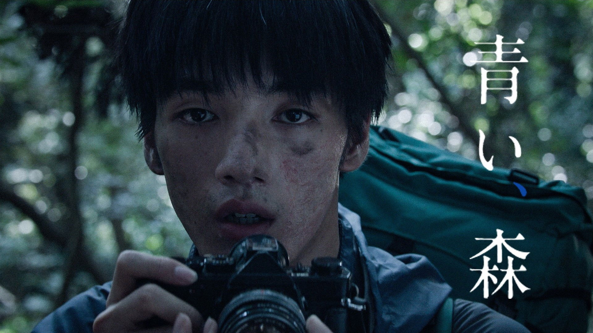 Backdrop for Blue, Forest