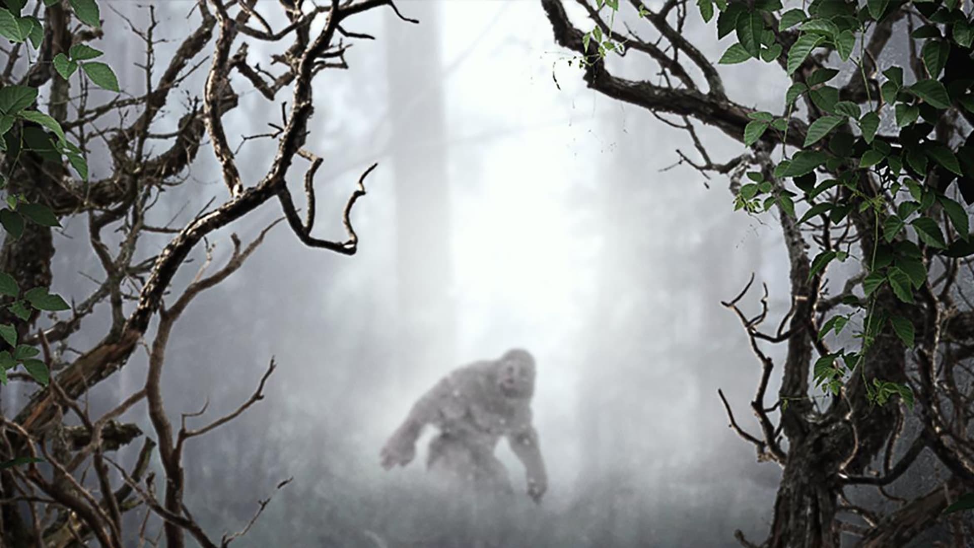 Backdrop for MonsterQuest