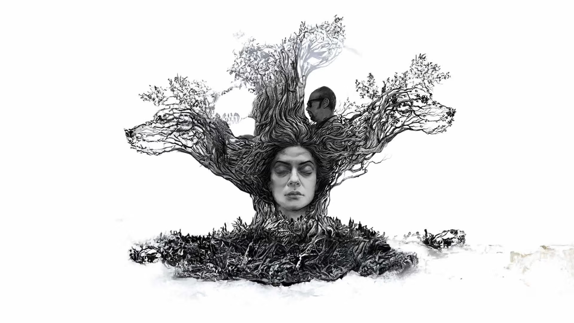 Backdrop for Nirbaak