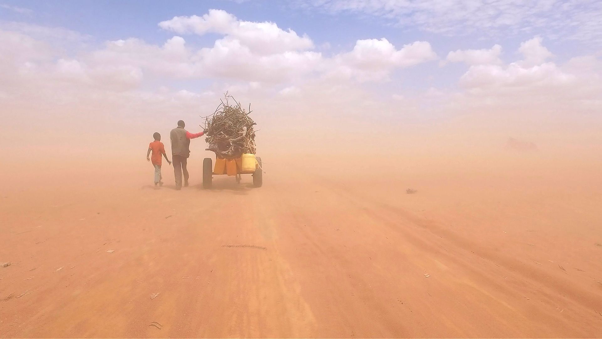 Backdrop for Human Flow