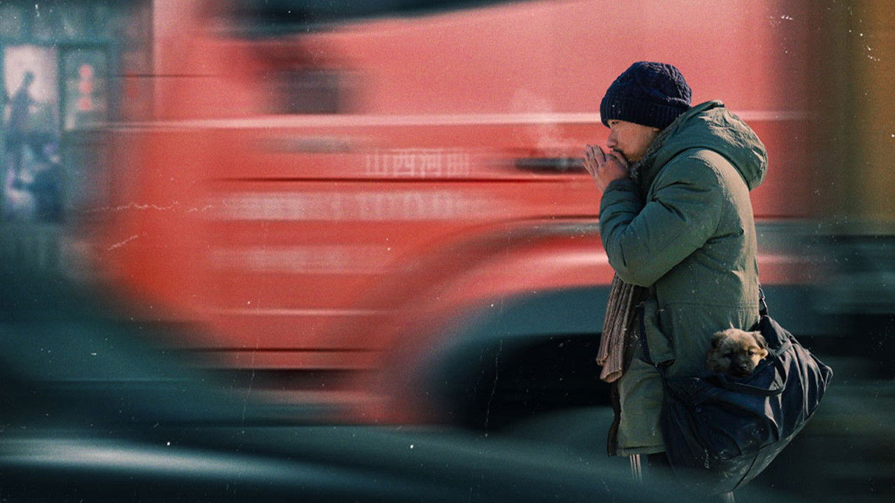 Backdrop for Night Falls