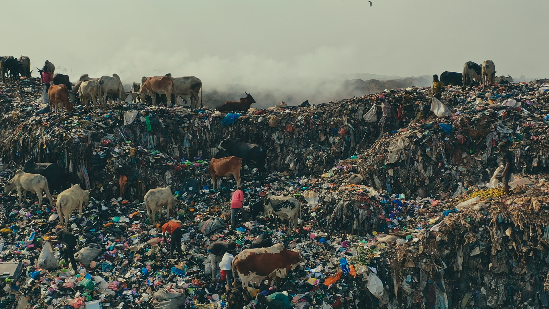 Backdrop for Junk - Armadi pieni