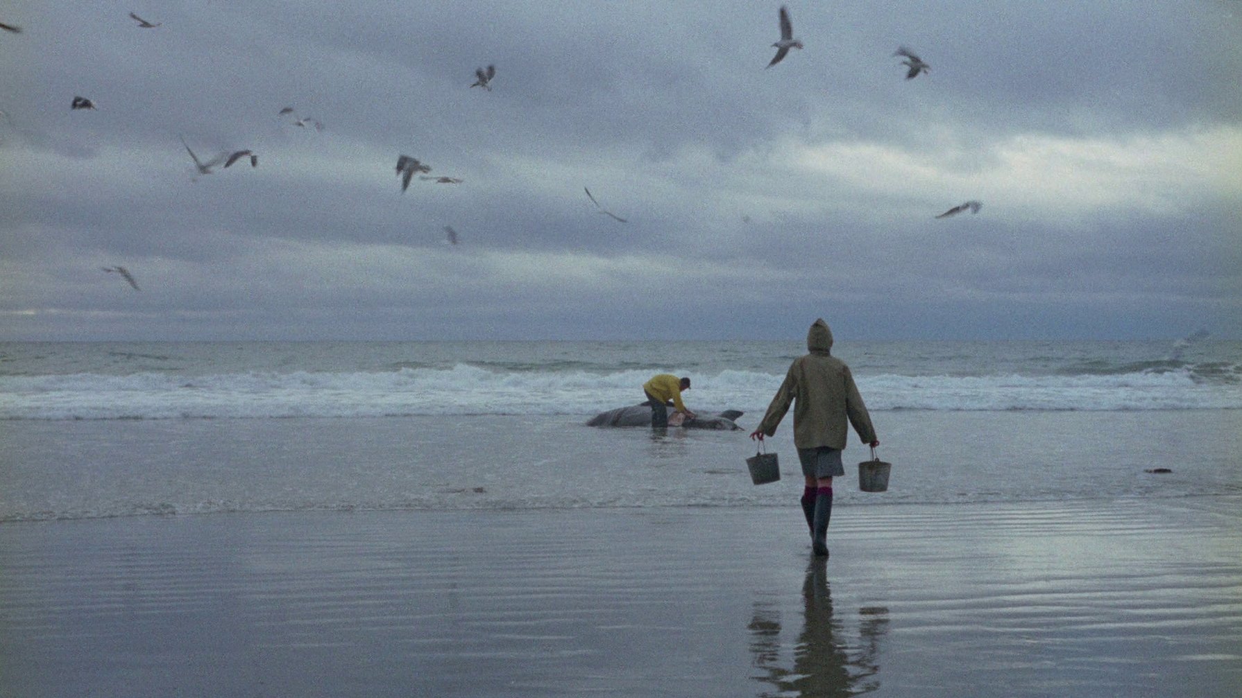 Backdrop for Ring of Bright Water