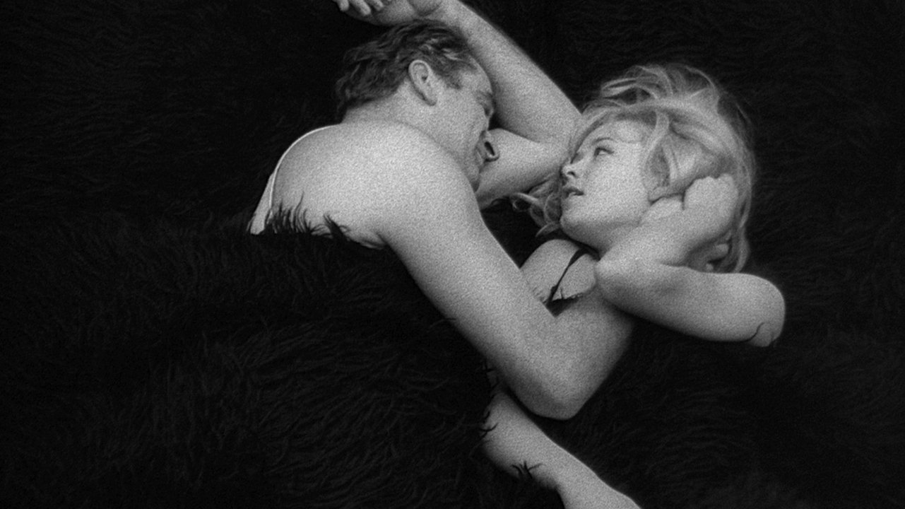 Backdrop for Man Is Not a Bird