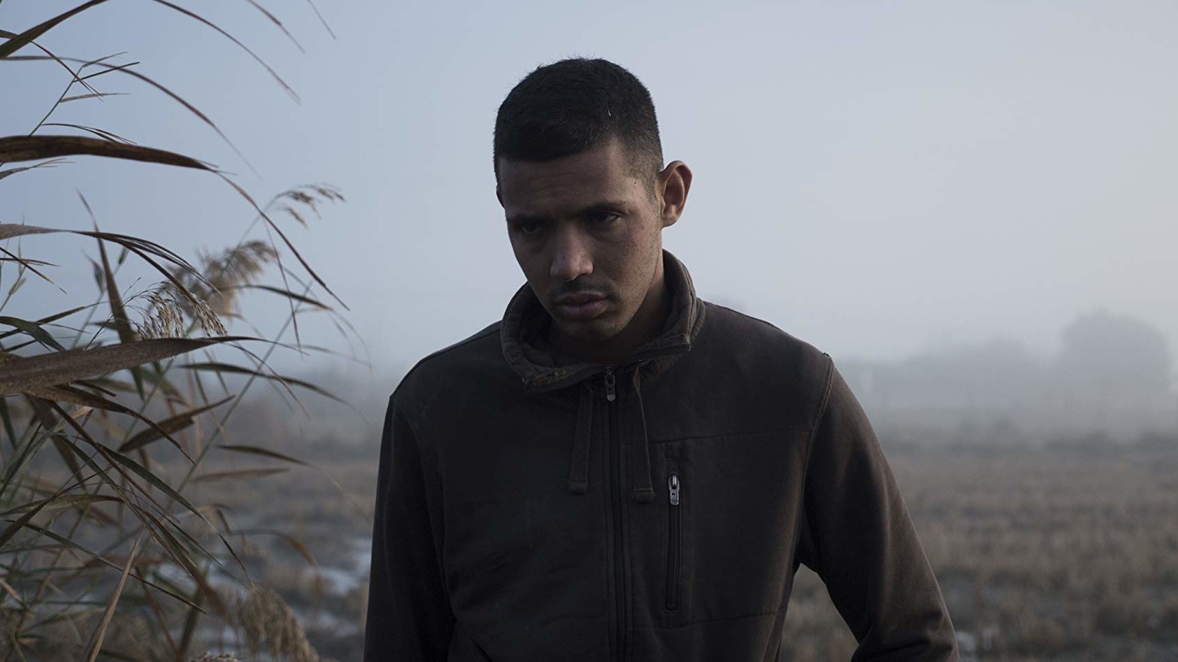 Backdrop for The Best Option