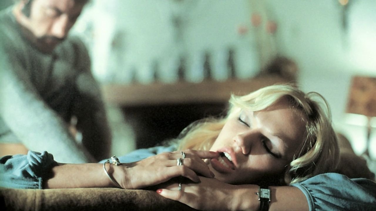 Backdrop for Sex Hunting Adventures